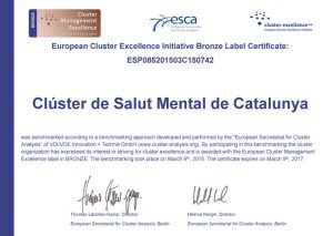 Informació Bronze Cluster Salut Mental