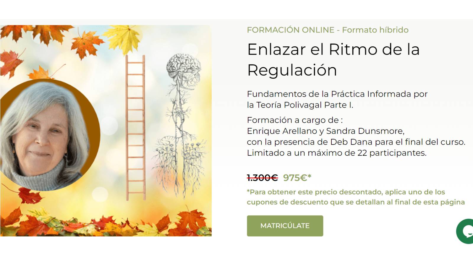 curso-4ciclos